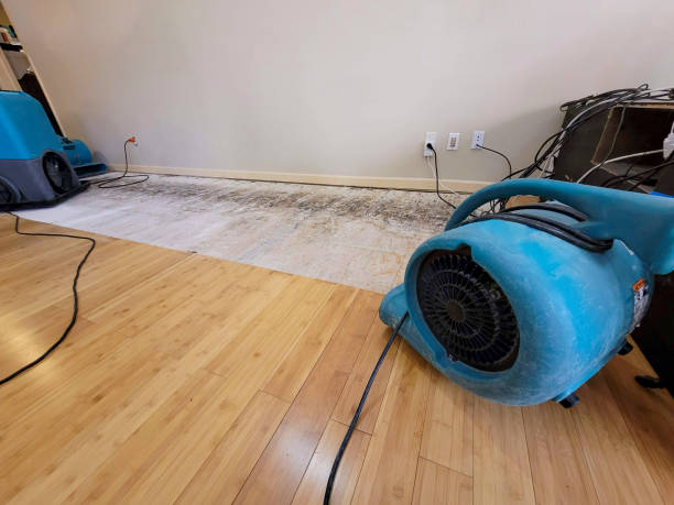 Reliable Basement Flood Cleanup contractor in Polk City, IA by Hirex Water Damage