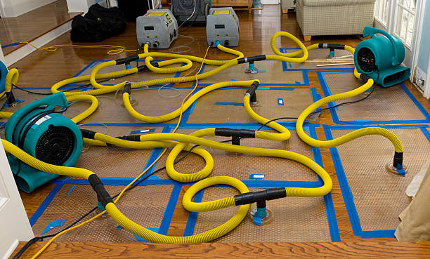 Professional Basement Flood Cleanup technician working in Polk City, IA
